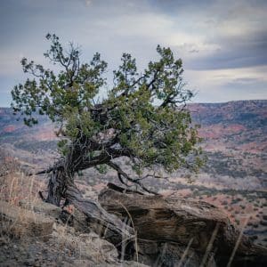 Palo Duro Canyon Photography Collection