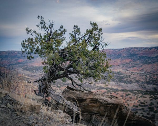 Palo Duro Canyon Photography Collection